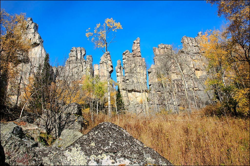 Inzerskiye Zubchatky (Tirlyanskiy) Инзерские зубчатки